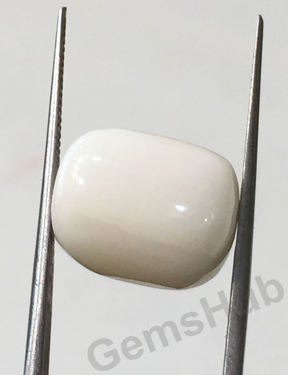 12.50 ratti/11.33 ct Natural Certified  White Coral/सफ़ेद मूंगा